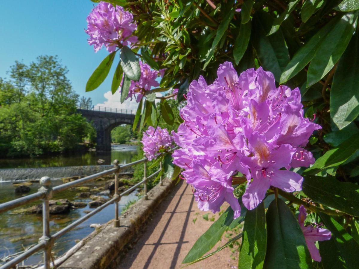 Maisie'S Cottage Dunblane Bagian luar foto